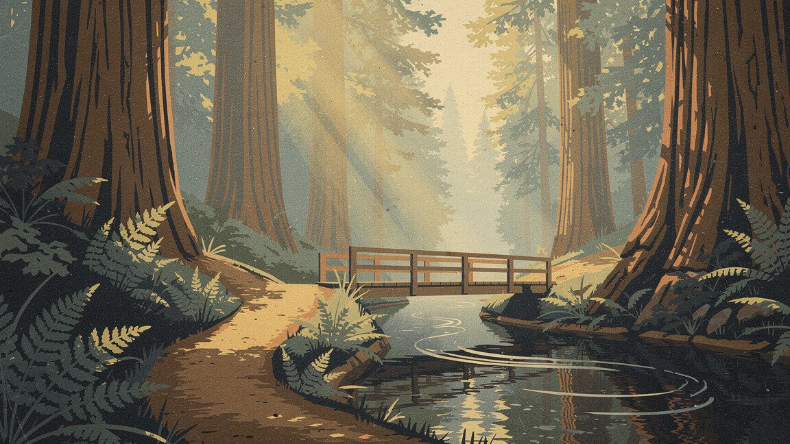 Redwood canyon trail on a Bay Area hike