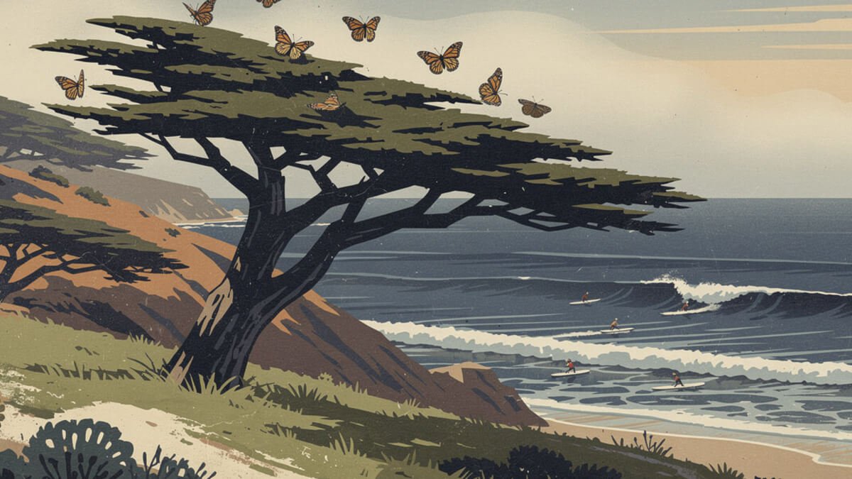 Monterey cypress on the West Cliff bluff at Lighthouse Field with monarchs overhead